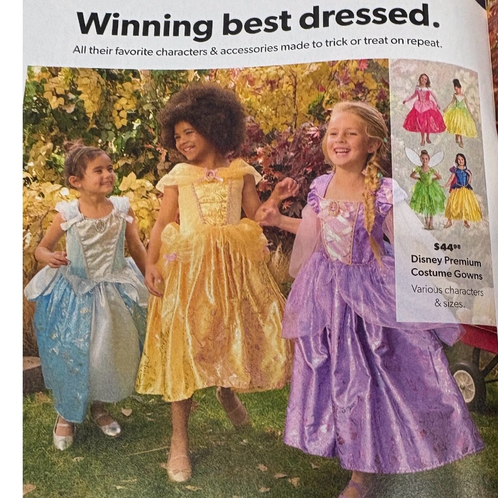 Disney Enchanting Princess Dresses in Yellow and Pink & Shoes